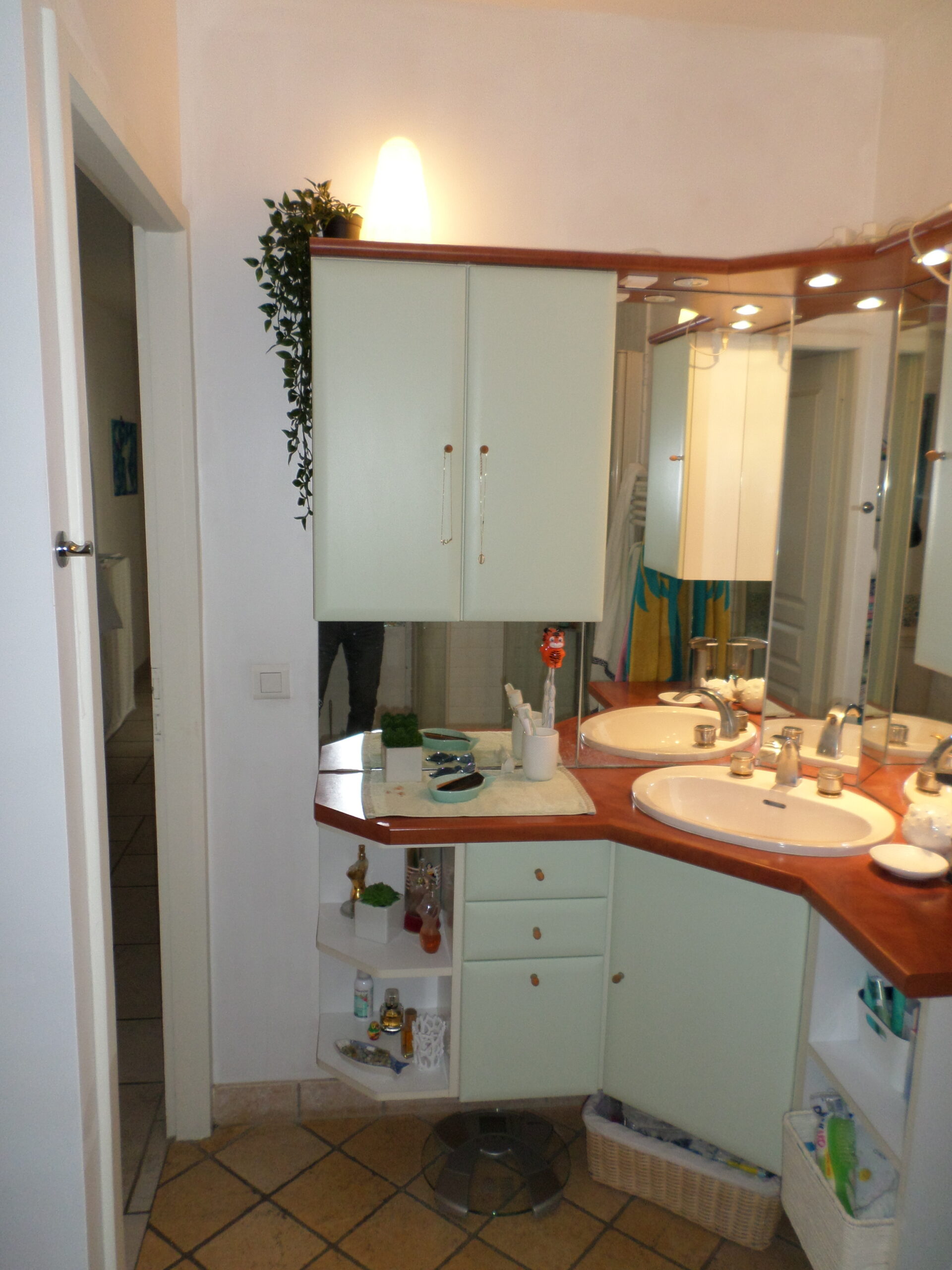 Salle de bains avant les travaux