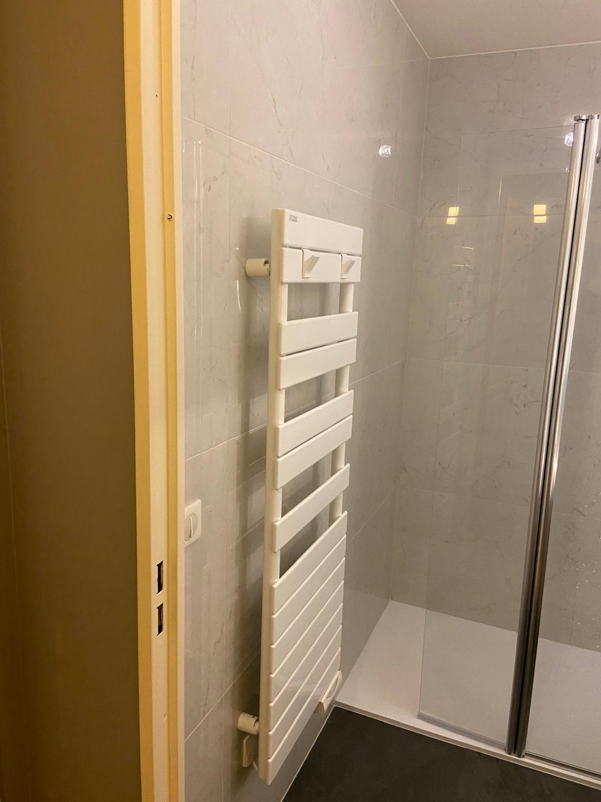 Salle de bains rénovée, baignoire remplacée par une douche, La Balme-de-Sillingy, mars 2025 : photo 3